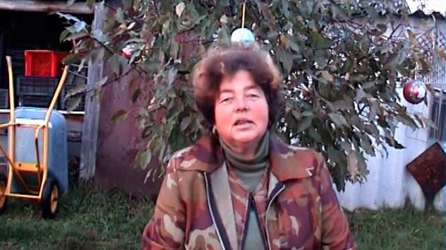 Ягодный сад. Баллада о лагенарии. смотреть онлайн