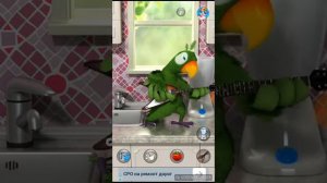 Играю в игру говорящий Пьер  (обзор игры)☺