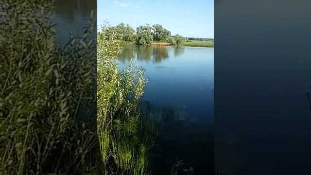 Рыбалка река Ик смотреть онлайн