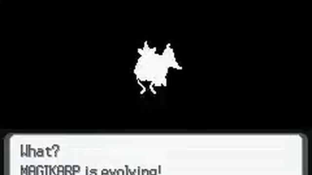 Pokemon Light Platinum Part ?? - The Evolution of Magikarp смотреть онлайн