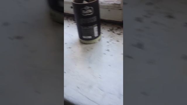 Нашествие мух в жилом доме!!! смотреть онлайн