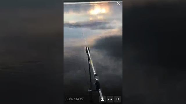 Река Томь Кемерово, ловля Язя/River Tom Kemerovo, catching Ide смотреть онлайн