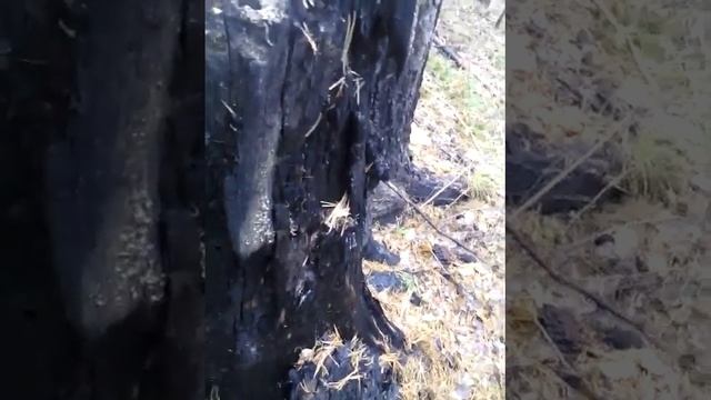 Мр 654 к обзор общего