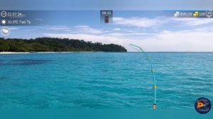 Рыба гитара▶My fishing world▶мой рыболовный мир▶где и на что ловить