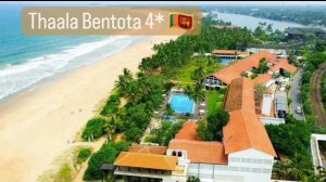 Thaala Bentota 5* полный обзор отеля на Шри-Ланке