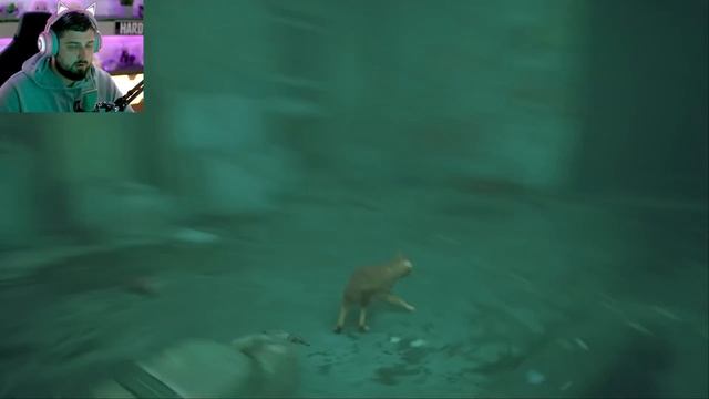 ВЫЖИВАНИЕ КОТА ПОСЛЕ АПОКАЛИПСИСА - STRAY ПРОХОЖДЕНИЕ #1 смотреть онлайн