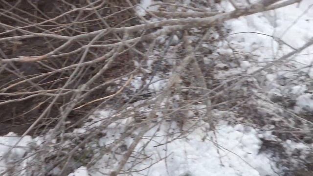 НАШЛИ ЯПОНСКИЙ ФУНДАМЕНТ.КОП НА САХАЛИНЕ. КРАЙ СВЕТА. смотреть онлайн