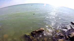 Ловля азовского бычка осенью.Рыбалка.Fishing