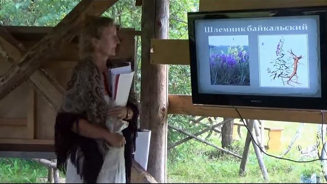 Экопоселение РП Ковчег. Фестиваль 15/08/2015. Вторая лекция о лекарственных травах. смотреть онлайн