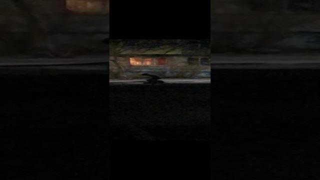 махачь во дворе.mp4