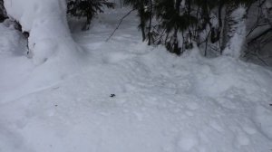 В УПОР ПО ЗАЙЦУ ИЗ МЕЛКАШКИ...