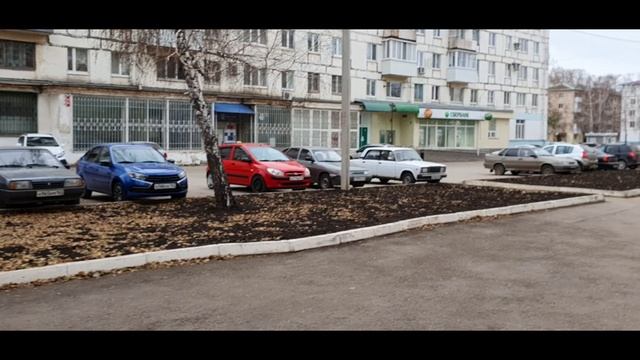 Как собаки попадают под колеса. Wie Hunde überfahren werden смотреть онлайн