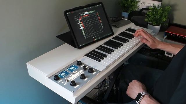 The Ambient Mellotron: Mellotron M4000D Hammond C3 and 2 Brass Improv смотреть онлайн