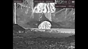 HIKMICRO PANTHER PQ50L 640x512 Тест прицела с вышки