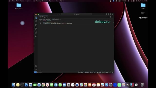 SHA256 and input Python смотреть онлайн