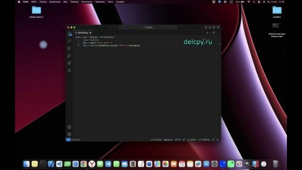 SHA256 and input Python