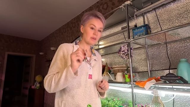 ЧТО НУЖНО ДЛЯ УСПЕШНОГО ПОСЕВА СЕМЯН НА РАССАДУ. смотреть онлайн