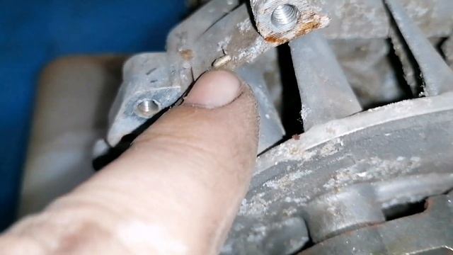 КРАТОН GGT-1400H / Некропсия