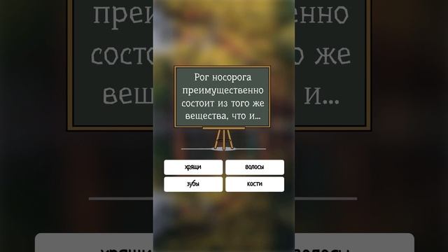 Из какого вещества состоит рог носорога? #shorts #мир #животные смотреть онлайн