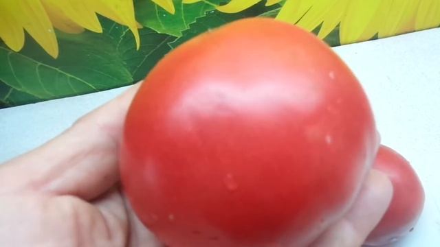 ТОМАТ РОЗОВЫЙ ТИТАН ОСТАВЛЯЮ НА ВТОРОЙ ГОД. Ольга Чернова. смотреть онлайн