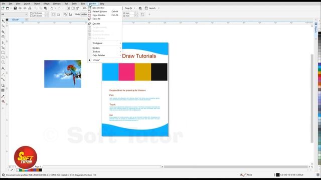 Color Separate | CMYK | Layer Option | Corel Draw in Tamil Tutorial | Soft Tutor смотреть онлайн