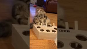 Это я после рабочей недели))