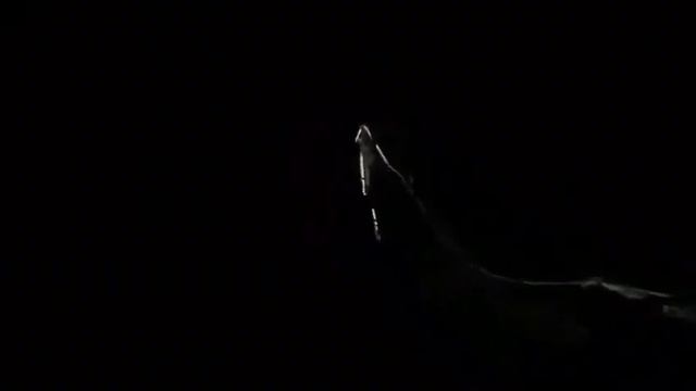 ОНИ СМЕЮТСЯ ??? смотреть онлайн