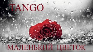 Танго "Маленький цветок" Фаусто Папетти. Tango "Little Flower" by Fausto Papetti. Tango Petite fleur