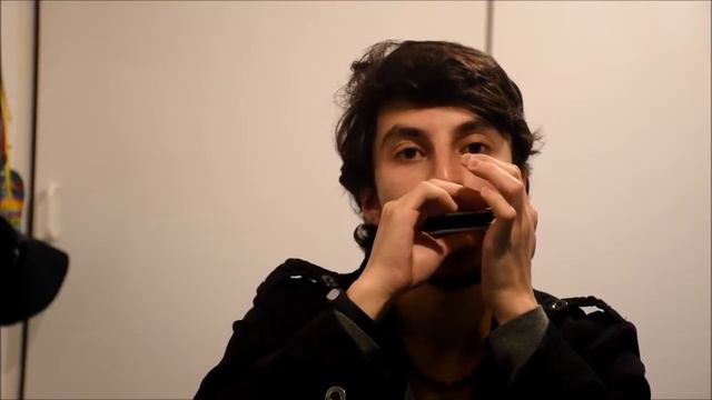 Pink Aerosmith cover harmonica смотреть онлайн