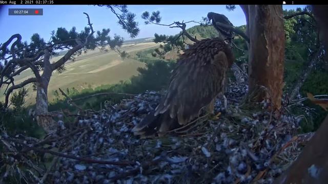 02.08.2021 5:00  - 6:00 Утренние тренировки