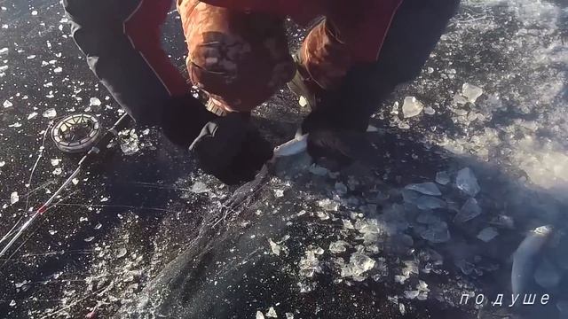 Утренний клёв омуля!!! Во сколько начинает клевать омуль? Рыбалка на Байкале. смотреть онлайн