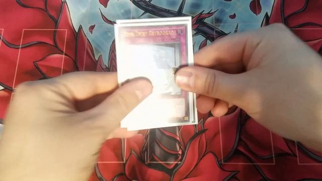 TIME THIEF IS STILL THE BEST RANK 4 DECK! (Combo Tutorial Included) | Yu-Gi-Oh! TCG смотреть онлайн
