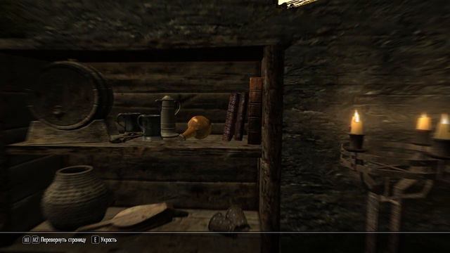 Beyond Skyrim: Bruma Прохождение. Серия 1. Привет, Сиродил. смотреть онлайн