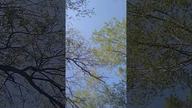 Судить будем?