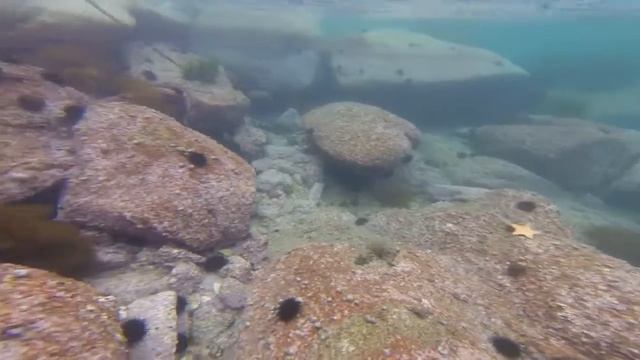 Подводная съемка на GoPro hero4 session смотреть онлайн