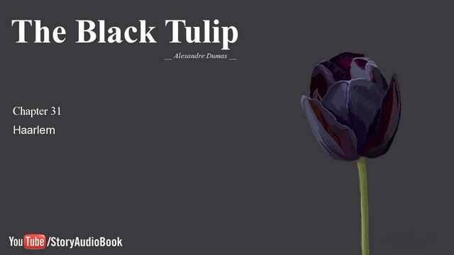 The Black Tulip by Alexandre Dumas - Chapter 31: Haarlem смотреть онлайн