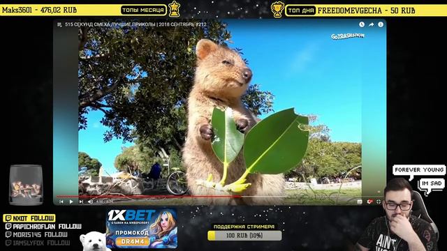 DR4M4 смотрит 484 СЕКУНДЫ СМЕХА ЛУЧШИЕ ПРИКОЛЫ | 2018 СЕНТЯБРЬ #212 смотреть онлайн