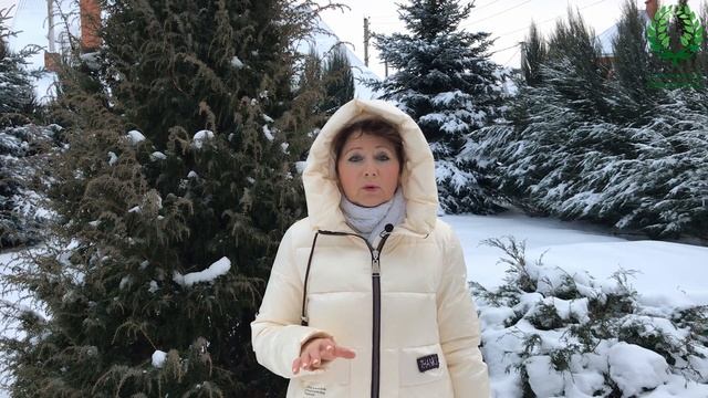 ПРЕПАРАТЫ ДЛЯ ЗАЩИТЫ ОТ ОЖОГОВ ХВОЙНЫХ РАСТЕНИЙ. Питомник ? и ? Е. Иващенко смотреть онлайн