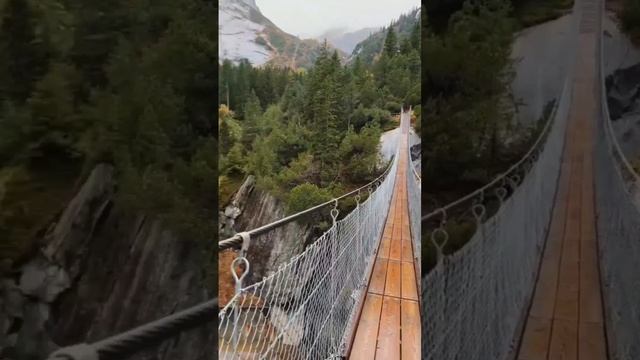 Что значит иметь мудрость, данную Богом??? смотреть онлайн