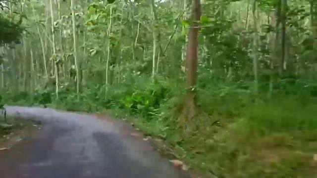 Explore hidden village at selogiri, wonogiri, middle java смотреть онлайн