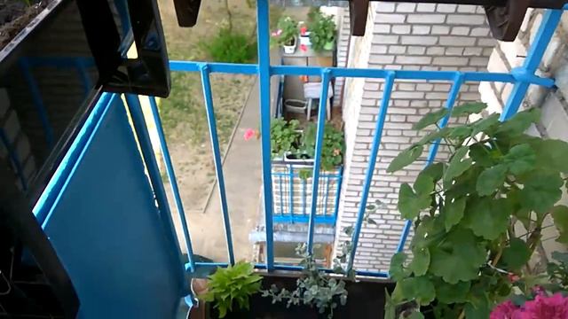 Мой балкон. Кто лучше? смотреть онлайн