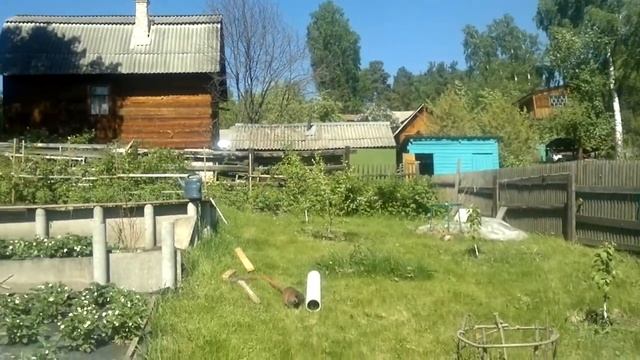 Дача мана смотреть онлайн