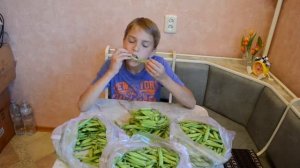 Сколько можно съесть гороха / How much can eat the Black Eyed Peas