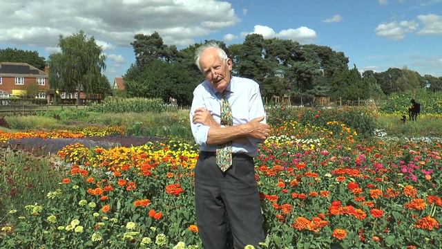 Visiting Mr Fothergill's Trial Day смотреть онлайн