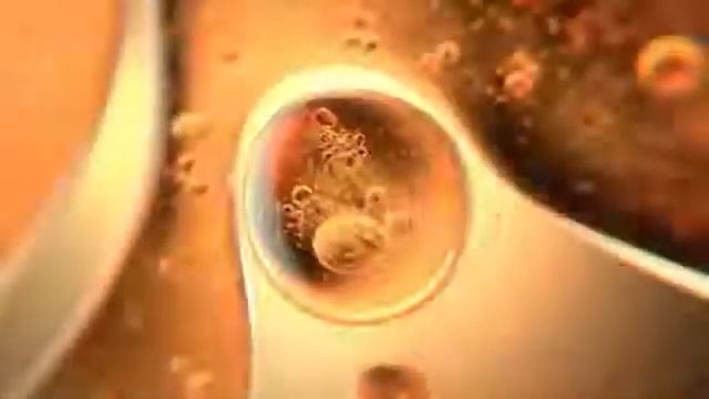 Buy MaxFactor Rise & Shine Mascara Extreme at Xpressions Style. смотреть онлайн