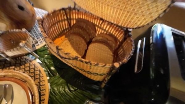 En la SELVA se COME ESTO