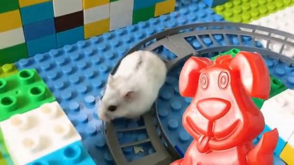 Схватка в лего-лабиринте на глазах у желейного Стасика. Желейный Стасик.
