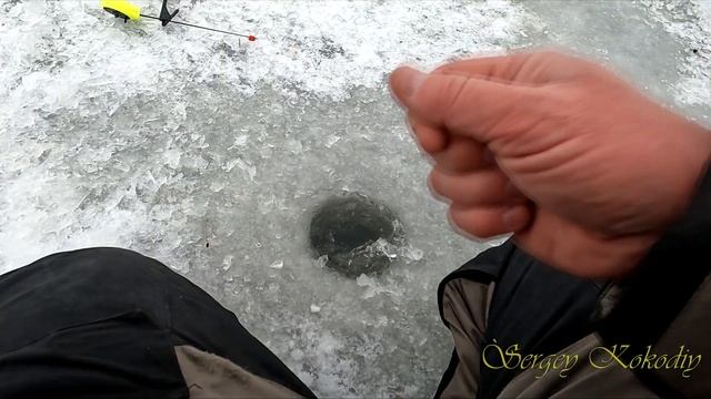 ЦЕ НЕ СОН?!! КАРАСІ ЛОПАТИ НА МОРМИШКУ В ДЖУНГЛЯХ ВЕРБОЛОЗУ смотреть онлайн