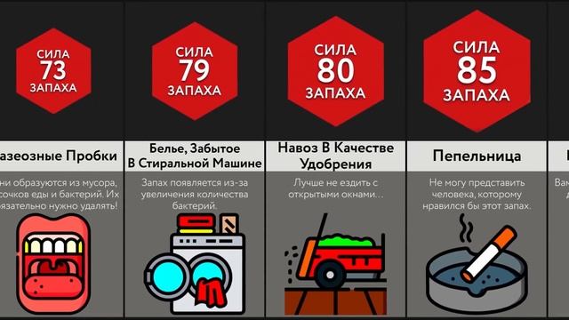 Самые Мерзкие Запахи - 2 ЧАСТЬ! смотреть онлайн