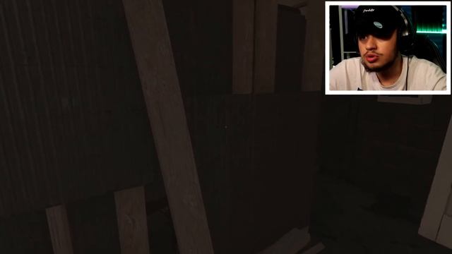 OH HELL NAWW! THESE PIGS BROKE INTO MY HOUSE! | The Swine (Full Game) смотреть онлайн